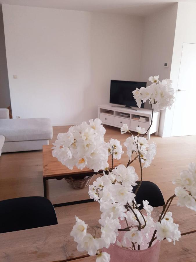Luxe Duplex Appartement Mavi Гистел Экстерьер фото